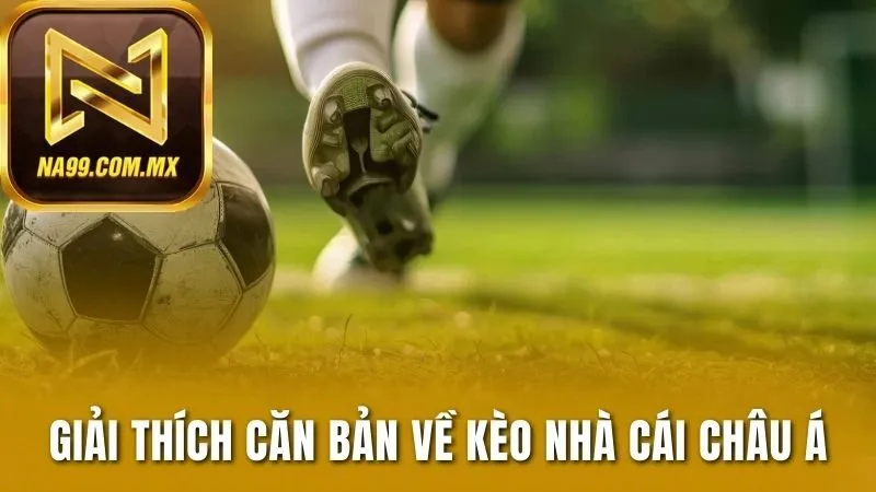 Bí Quyết Làm Chủ Kèo Nhà Cái Châu Á Dễ Dàng Trong Tầm Tay 2 Giải thích căn bản về kèo nhà cái châu Á